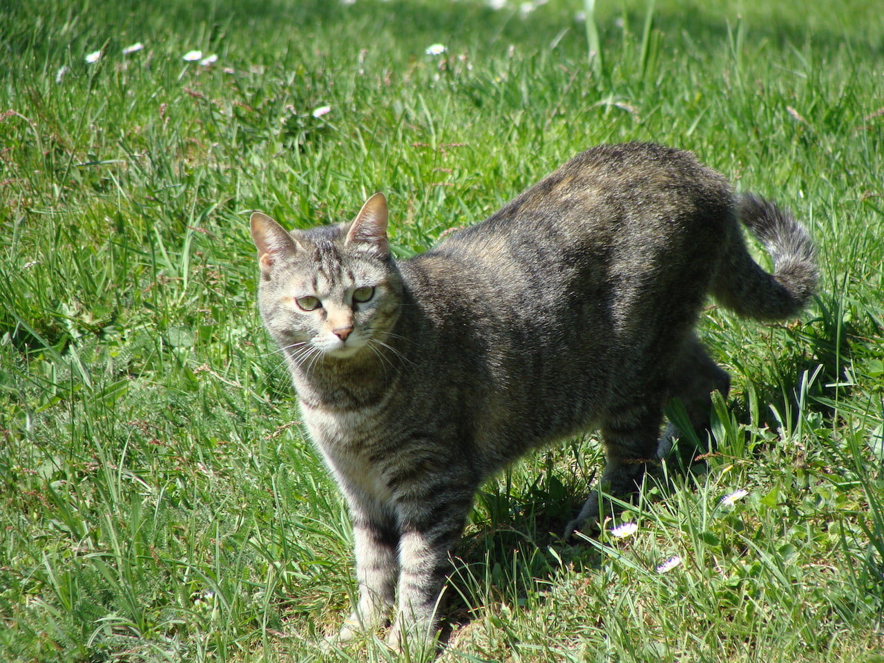 DSC02147