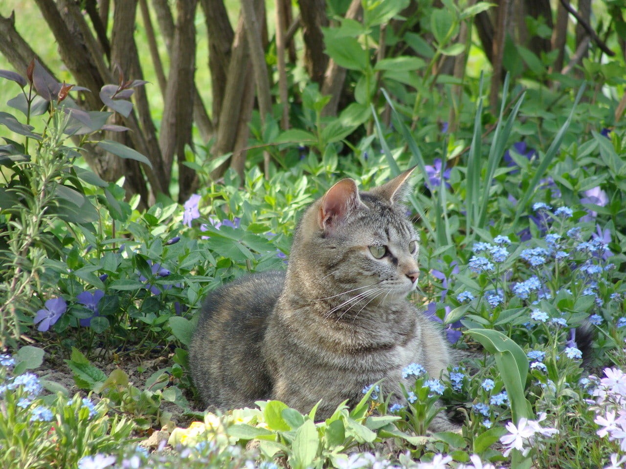 DSC02048