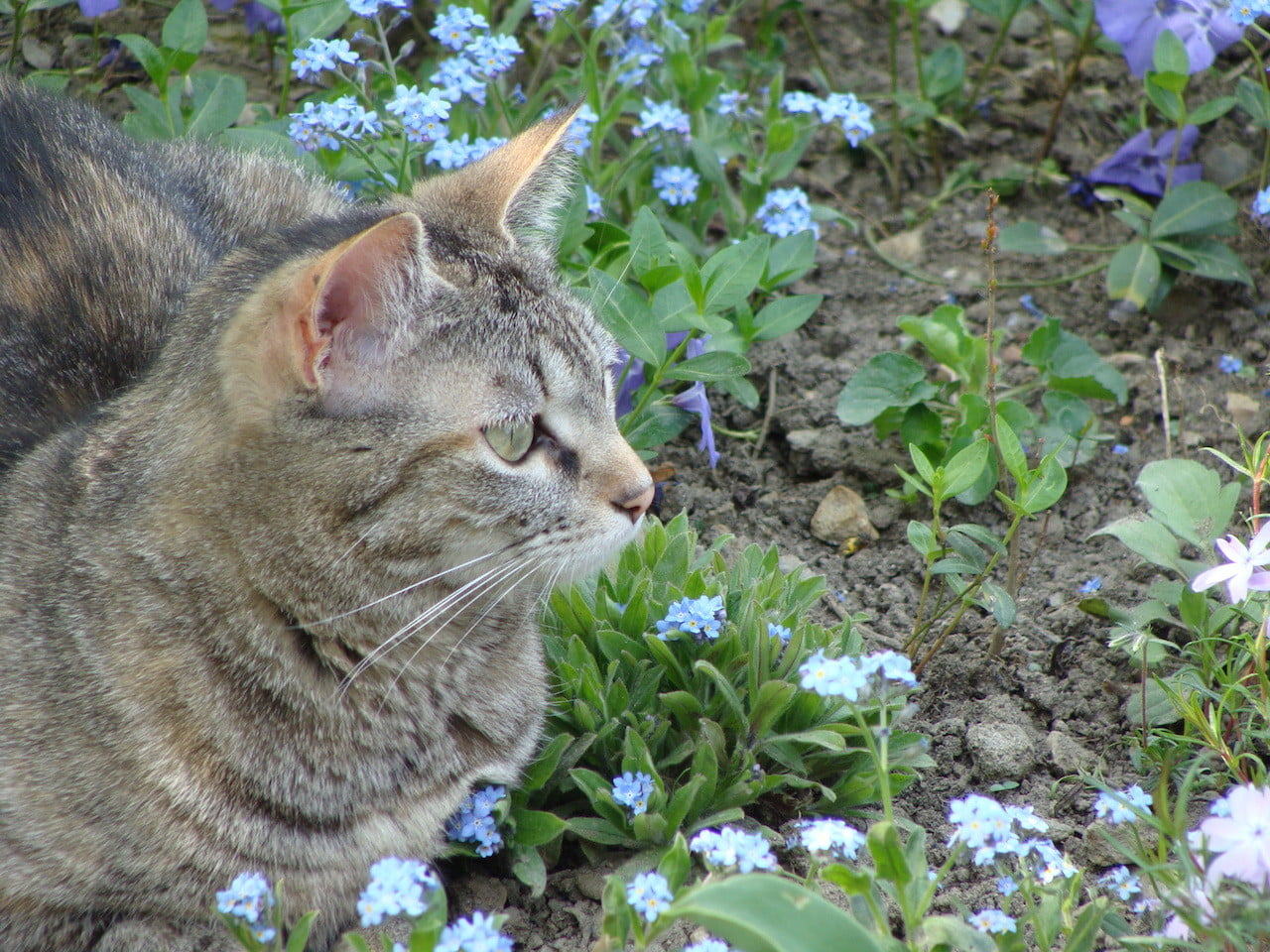 DSC02058