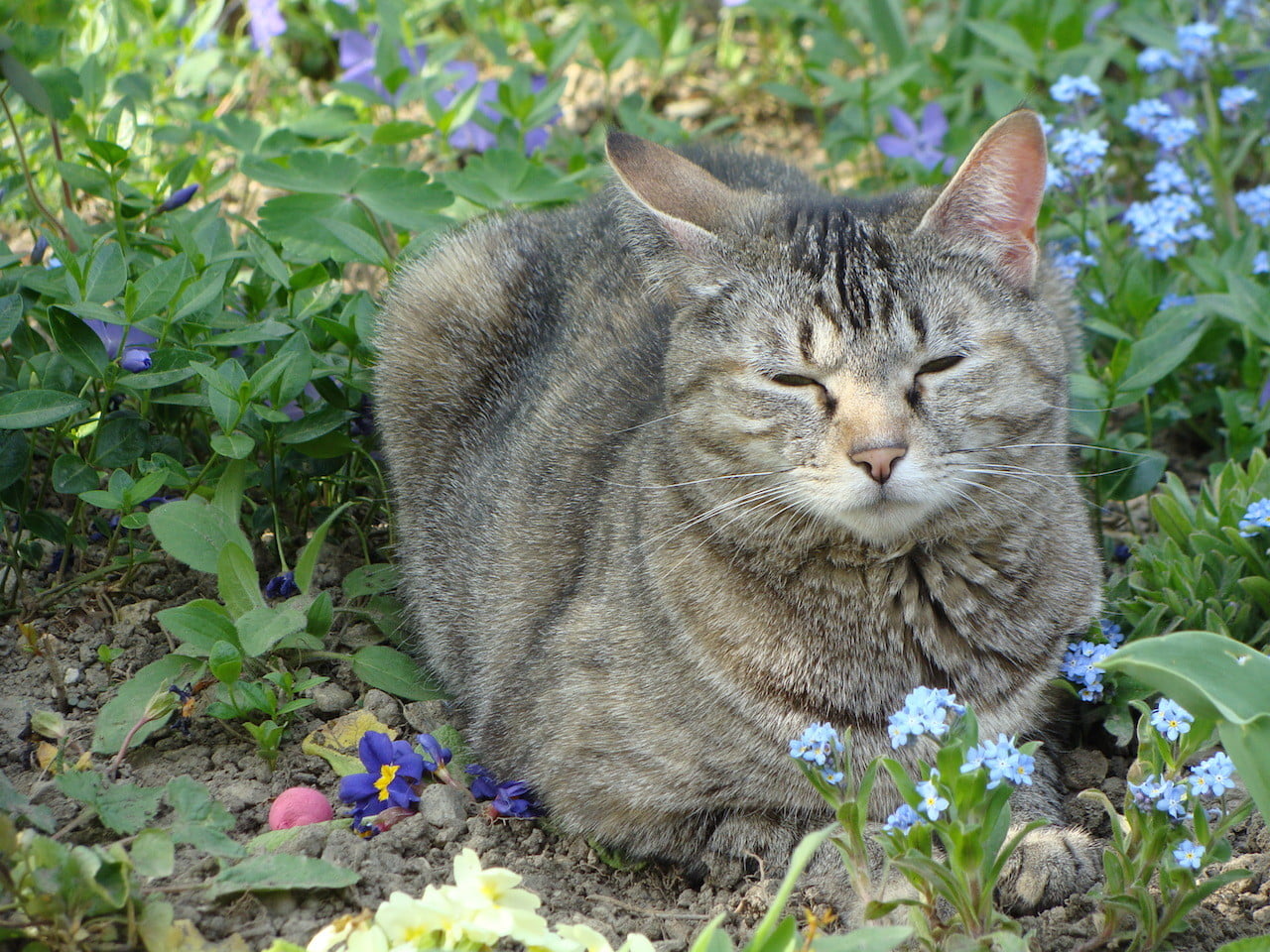 DSC02064