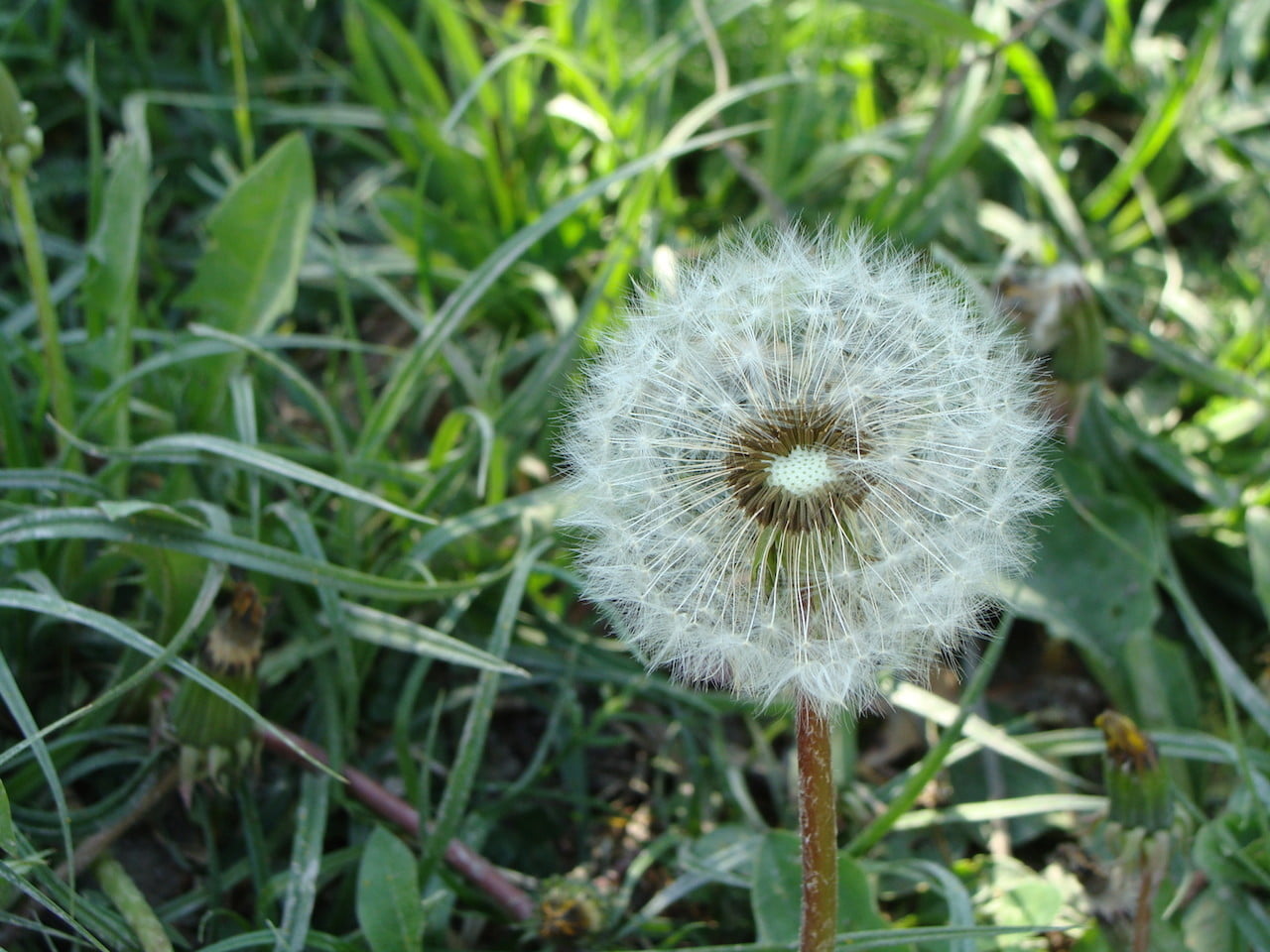 DSC02167