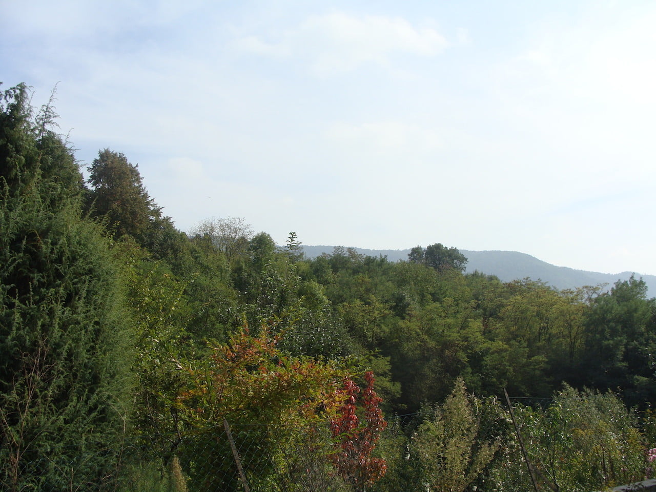 DSC06513