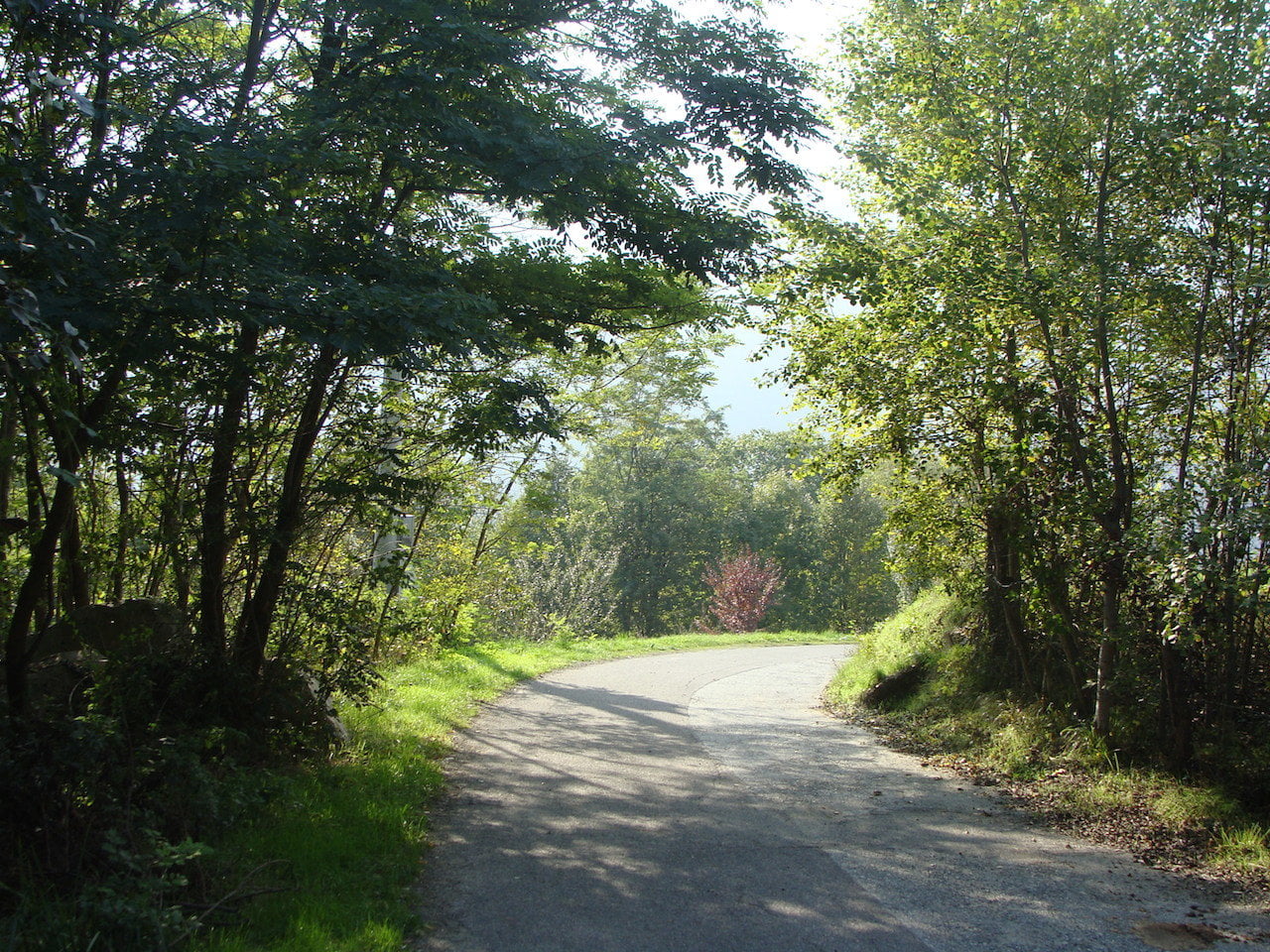 DSC06581