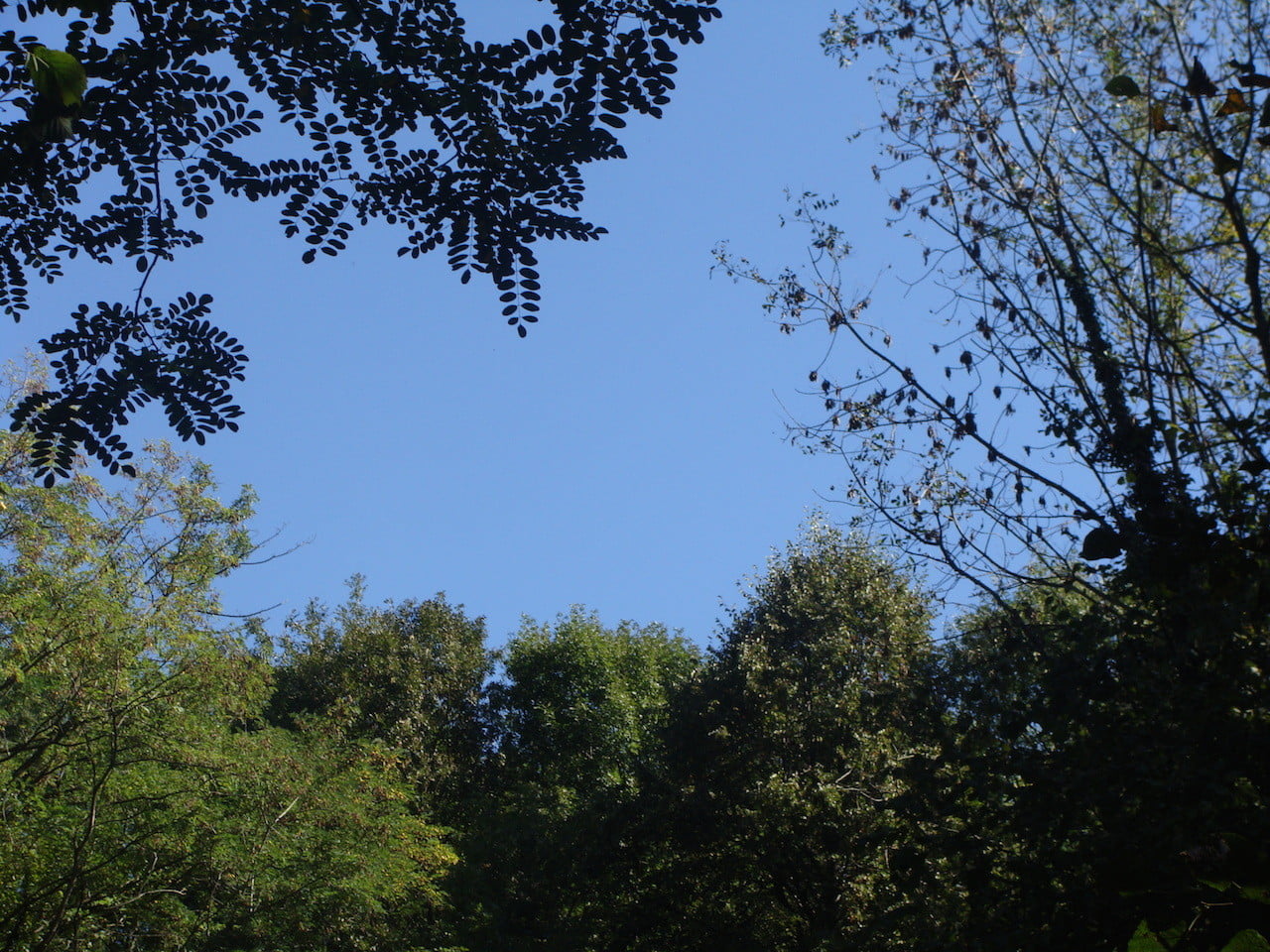DSC06630