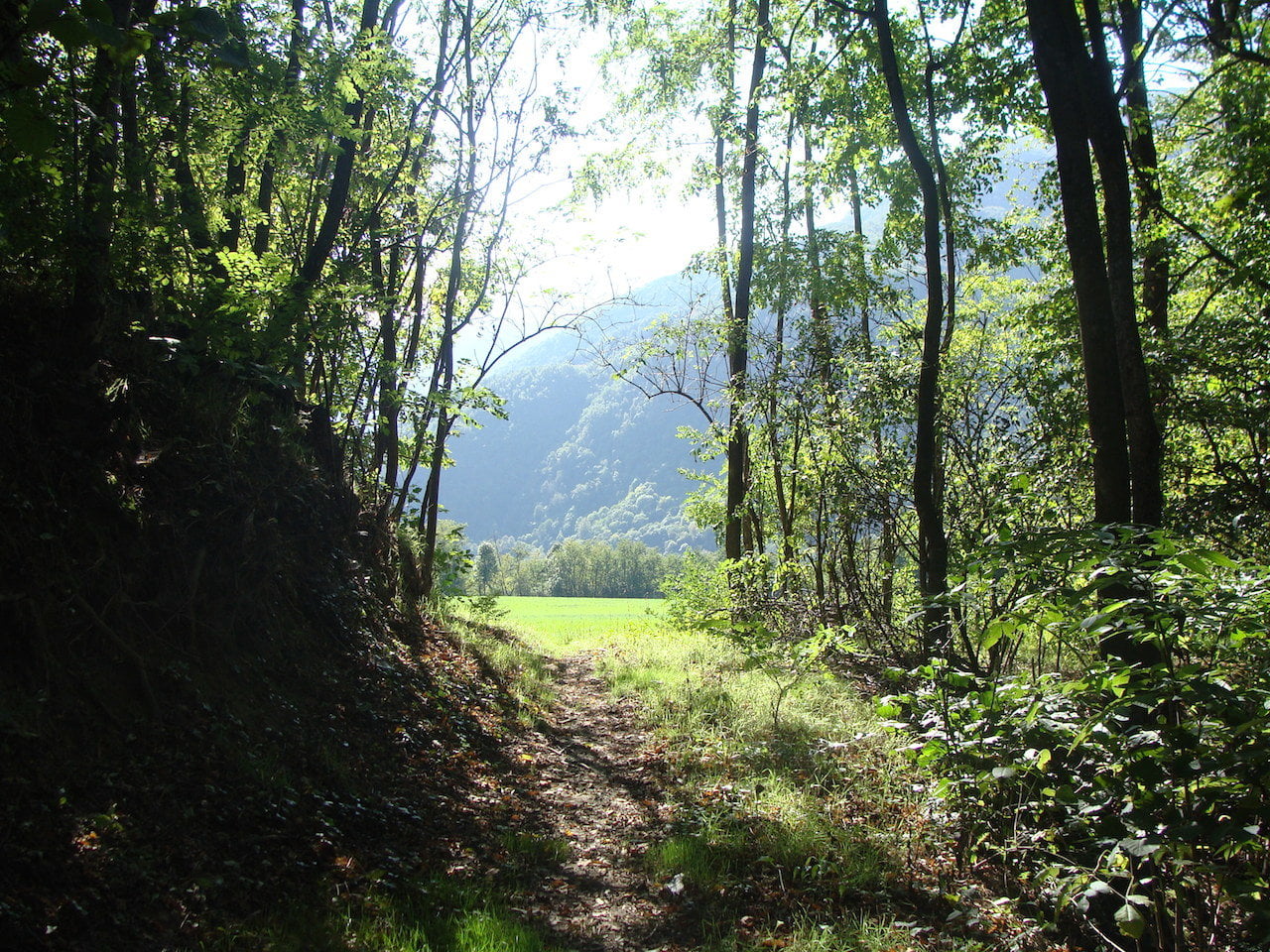 DSC06652
