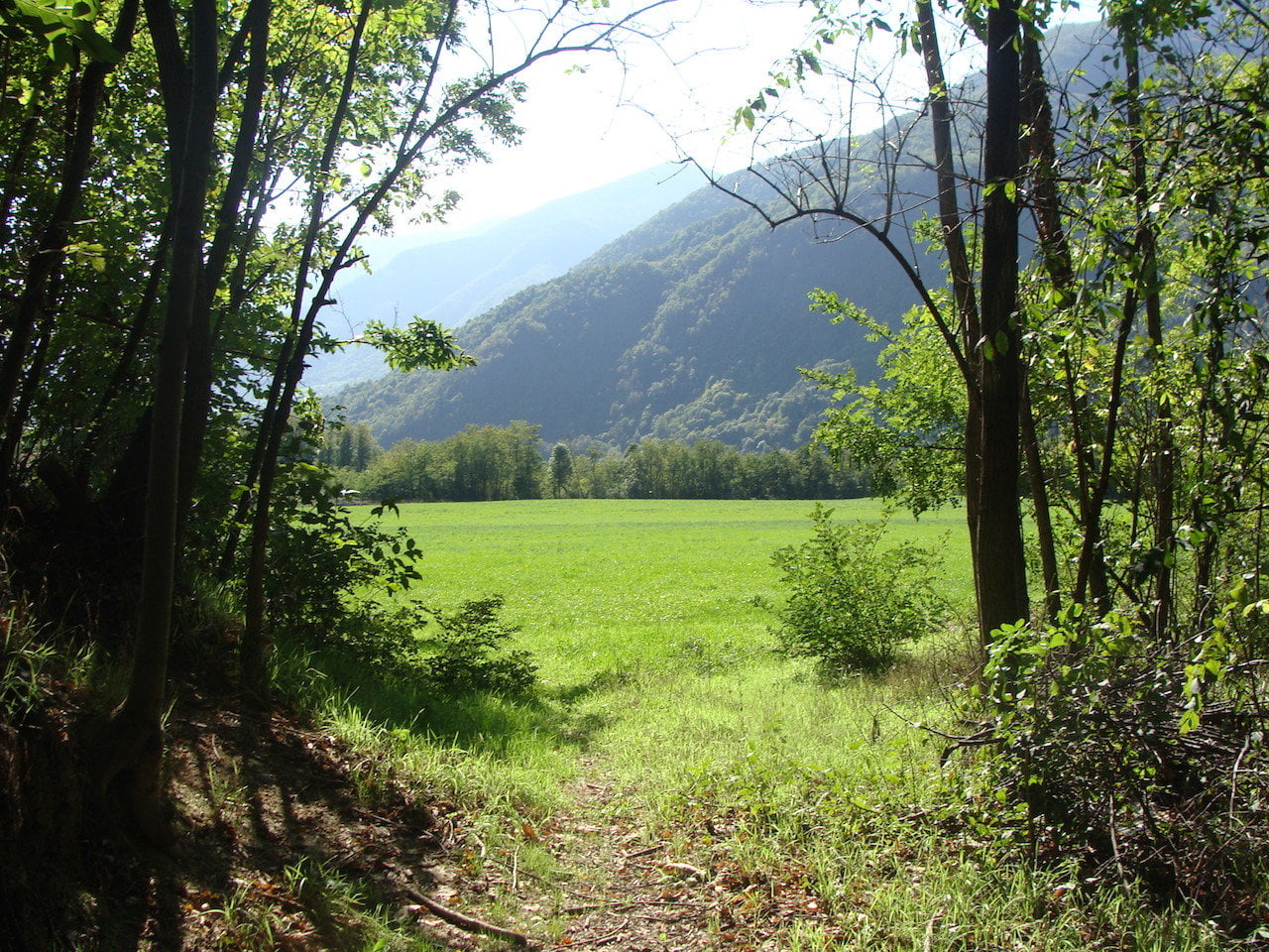 DSC06657