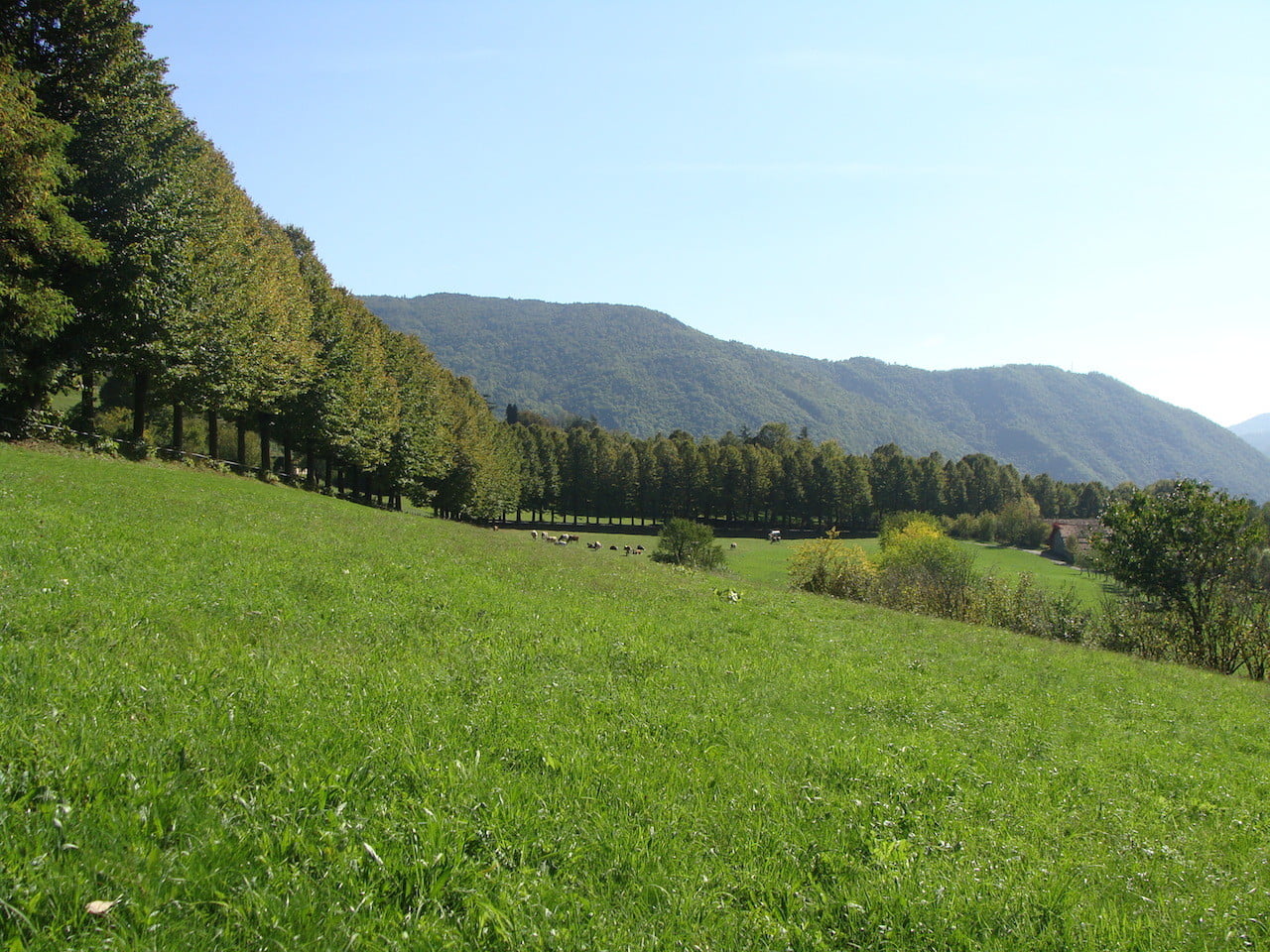 DSC06664