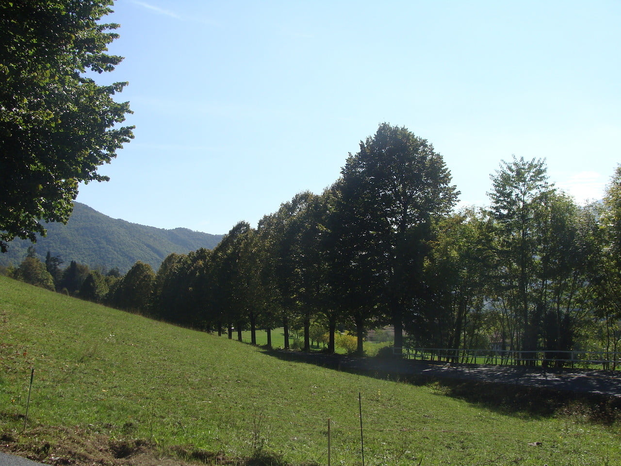 DSC06672