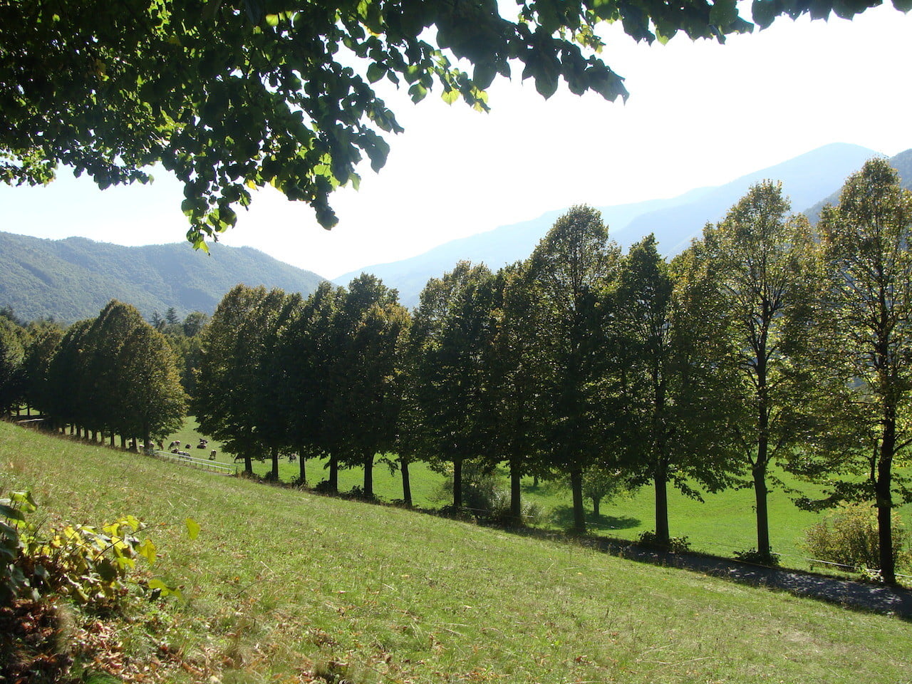 DSC06680