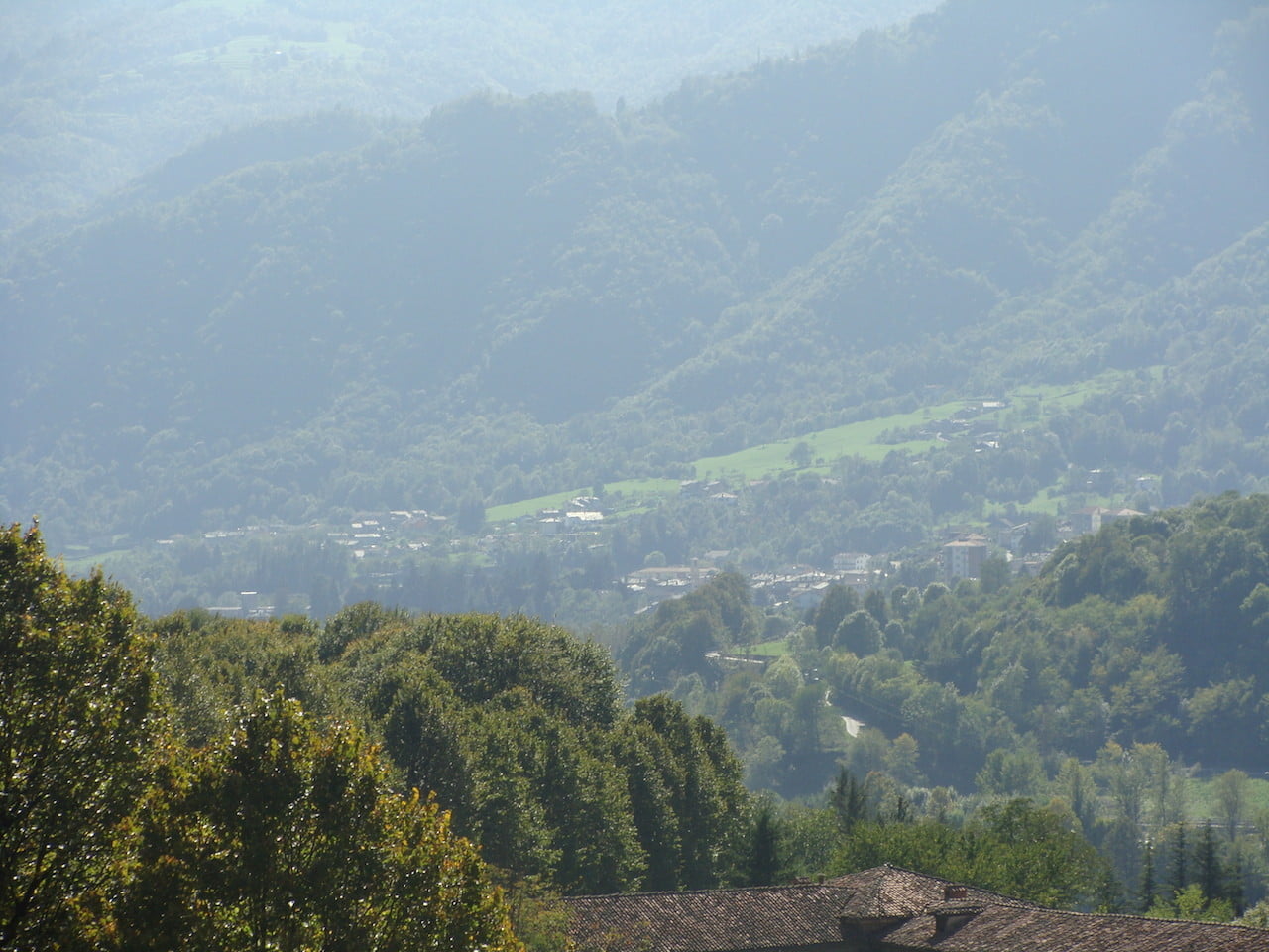 DSC06686