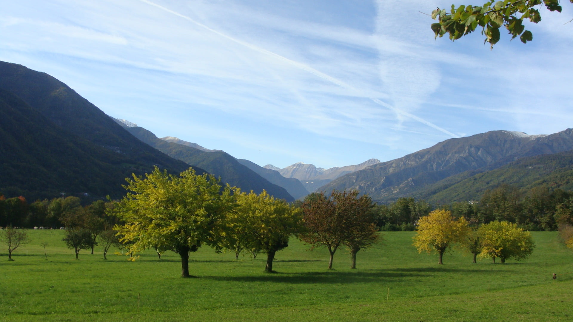 Ottobre 2009 – I colori dell’Autunno